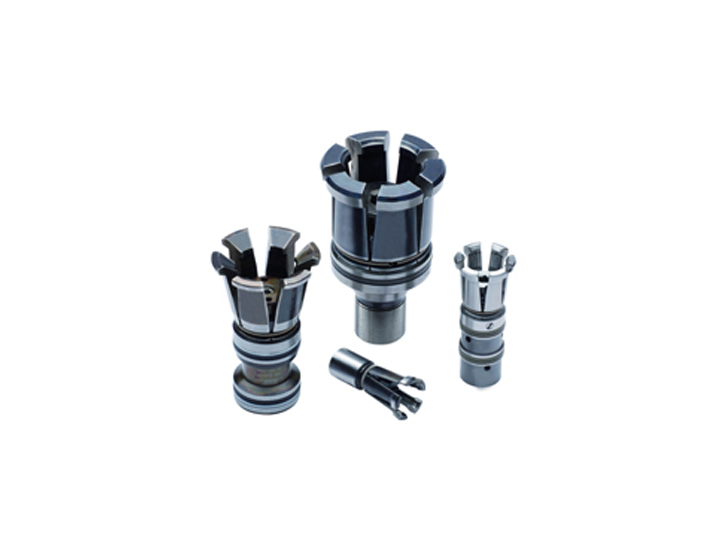 刀爪（zhǎo）類